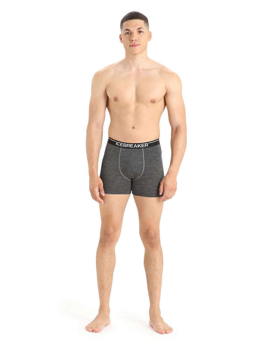 Sous Vêtement Icebreaker Merino Anatomica Boxers Homme Grise | FR 1314WNBY